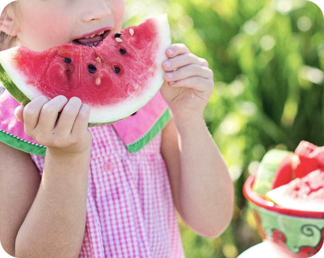 Our Kitchen & Nutrition, supporting healthy eating and nutrition at Starfish Early Learning Centre.