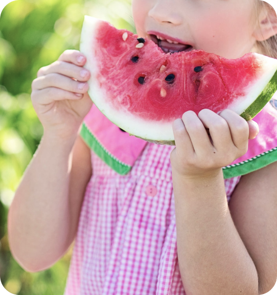 Our Kitchen & Nutrition, supporting healthy eating and nutrition at Starfish Early Learning Centre.