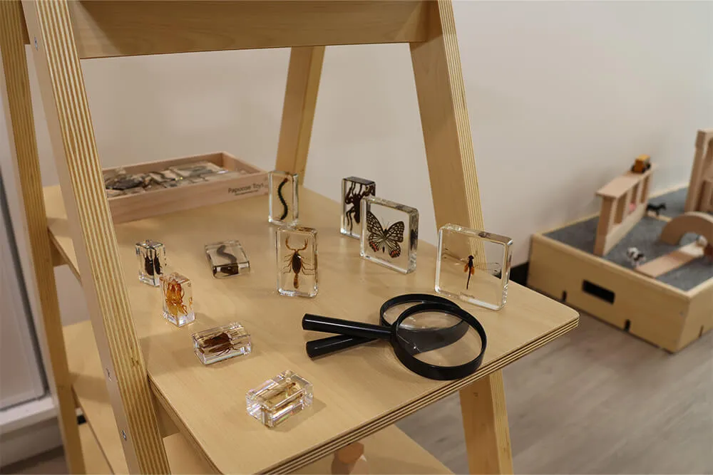 Childcare discovery shelf with magnifying glasses and preserved insects for hands-on early learning exploration.