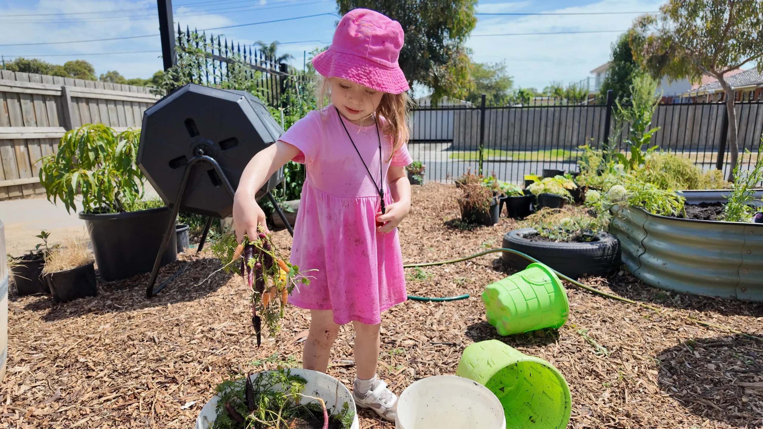 Young child exploring the vegetable garden outdoors at Starfish ELC